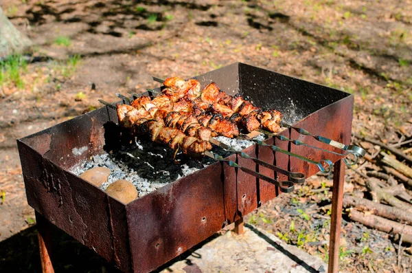 Cozinhar Churrasco Natureza Acampar Piquenique — Fotografia de Stock