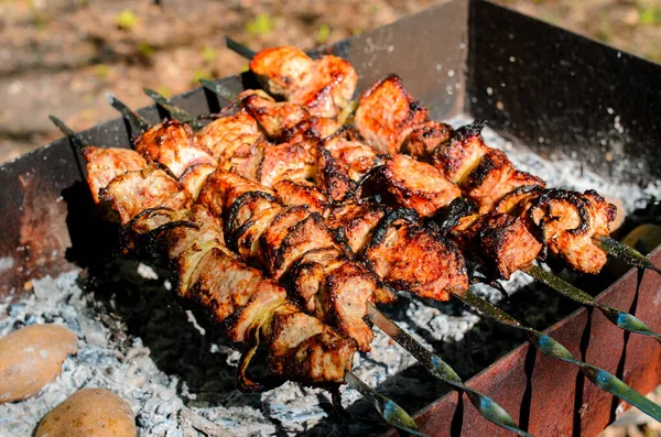 Barbecue Főzés Természetben Kempingezés Piknik — Stock Fotó