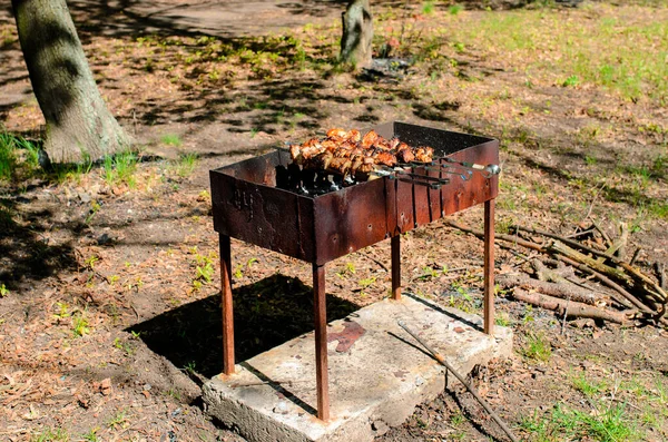 stock image Cooking barbecue in nature. Camping and picnic