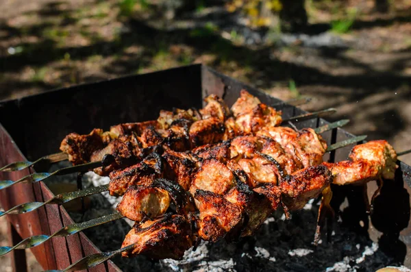 Cuisine Barbecue Dans Nature Camping Pique Nique — Photo