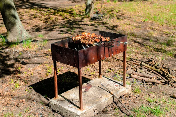 Cooking Barbecue Nature Camping Picnic — Stock Photo, Image