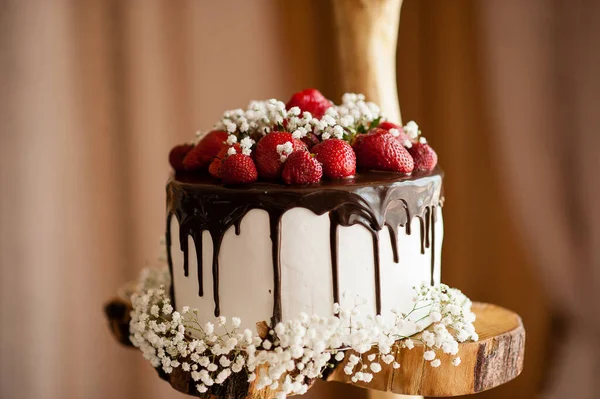 お祝いの席で多色のケーキやお菓子 — ストック写真