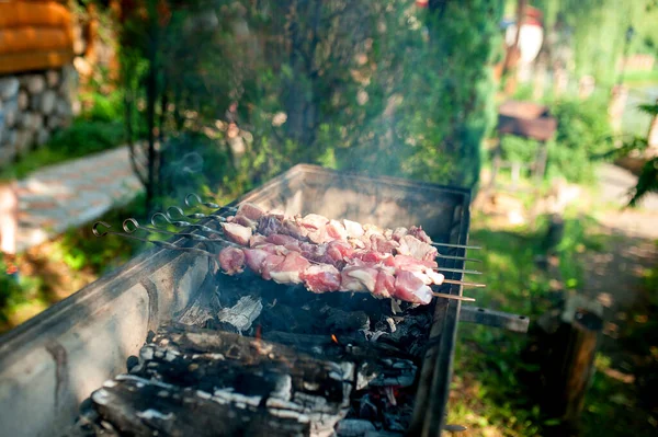 Cooking Barbecue Nature Camping Picnic — Stock Photo, Image