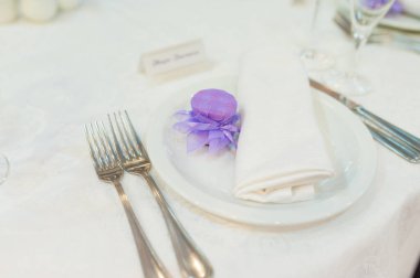 Şenlikli bir etkinlik için güzel bir masa. Düğün süslemeleri