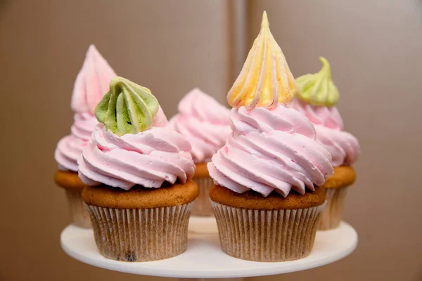 Sweet Multi Colored Cream Cup Cakes — ストック写真