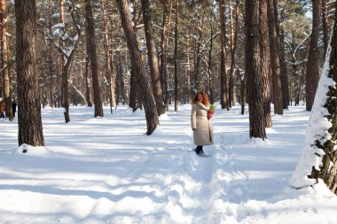 Temiz hava. Sıcak elbiseli, pozitif kızıl saçlı kadın kırsal kış ormanlarında yürürken ve ellerinde sarı kar damlaları tutarken etrafına bakıyor.