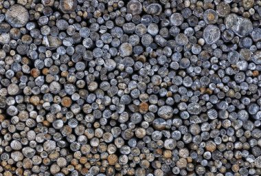 Yığınla odun kestim. Yakacak odun yığıldı ve kış için hazırlandı.