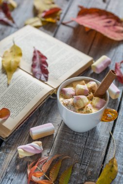 Sıcak çikolata şekerleme Kupası ve parlak ahşap yüzey üzerinde kitap ile. Sonbahar kavramı. Sığ derinlik-in tarla
