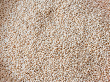 Raw white sesame seed as a background.Macro shot