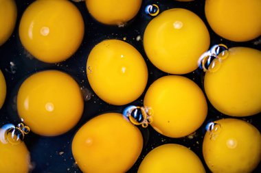 Macro photo of quail egg yolk in glass bowl