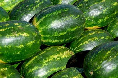 Close up of fresh watermelon.close up