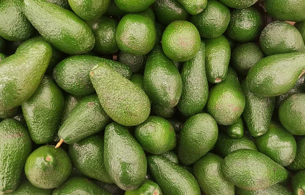 アボカドとはアボカドの木の実のことで 植物学的には一つの種を含む大きな果実です — ストック写真