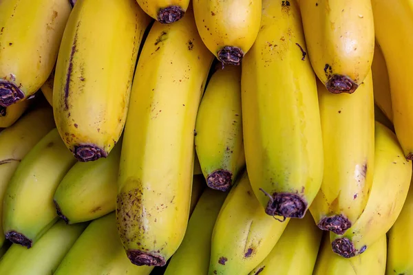 Tas Bananes Sur Marché Beaucoup Bananes Jaunes Mûres Sur Comptoir — Photo