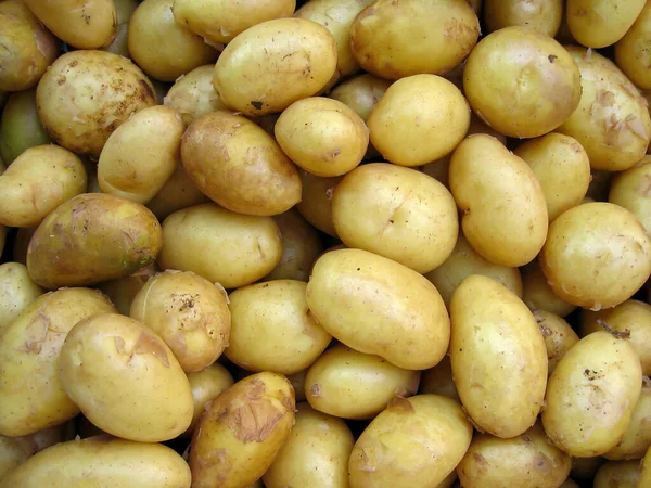 Organik bebek patates dokusunu kapatın. Makro çekim
