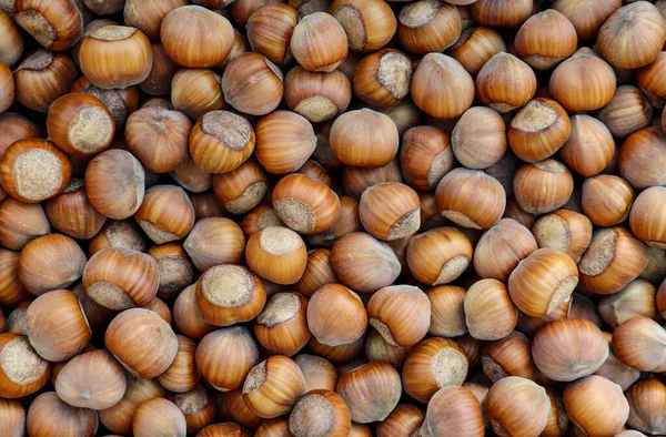 Ripe Hazelnuts Background Hazelnut Nuts Boxes Ripe Brown Nuts — Stockfoto