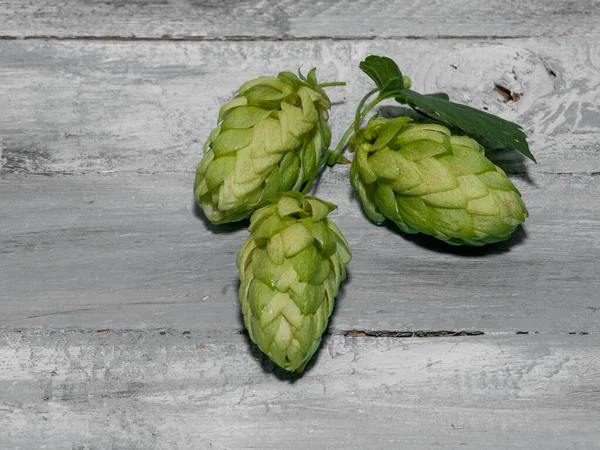 Grüne Reife Hopfenzapfen Zutat Für Die Bierproduktion Blick Von Oben — Stockfoto