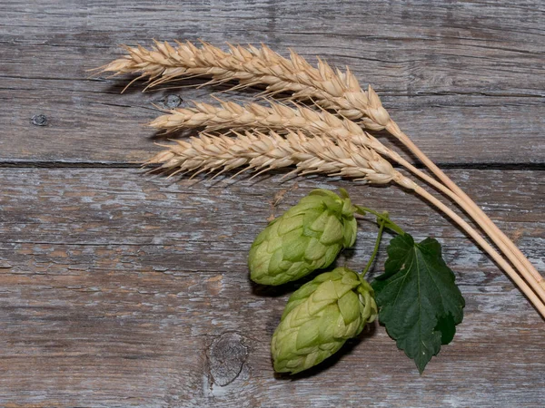 Beer Brewing Ingredients Hop Cones Wheat Ears Wooden Table Beer — Stockfoto