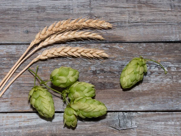 Beer Brewing Ingredients Hop Cones Wheat Ears Wooden Table Beer — Stockfoto