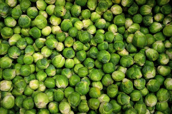 Close Brussels Sprouts Rosenkohl — Stock fotografie
