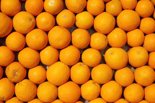Oranges Ready Sale Juice Oranges Lots Fresh Oranges Fruits Plucked — Stok fotoğraf
