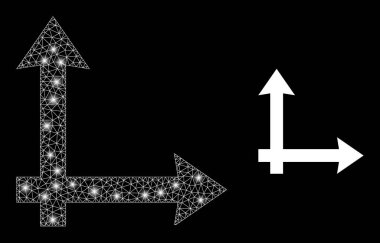 Işık lekeli Çokgen 2B Ağ Koordinat Sistemi