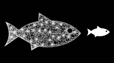 Işıkbenekli Çokgen Ağ Balığı