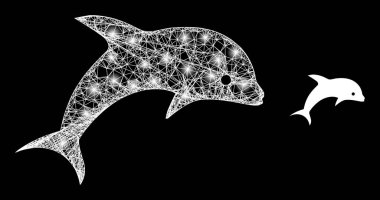 Sihirli Çokgen Kablo Çerçevesi Ağlı Yunus