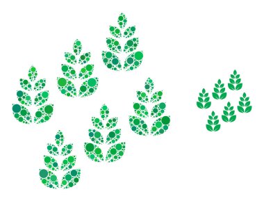 Noktaların Vektör Çiftlik Alanı bileşimi