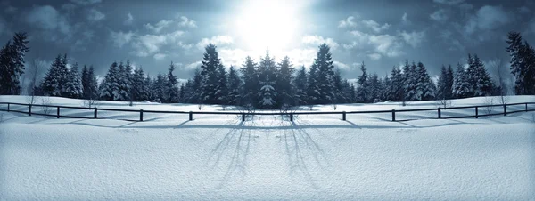 Winter lake — Stock Photo, Image