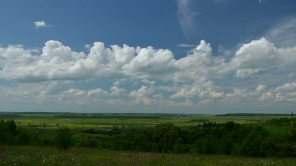 Wolken in de lucht — Stockvideo