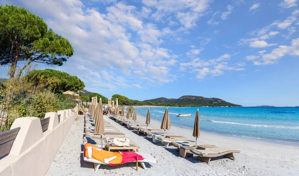 Landschaft Mit Strand Von Palombaggia Auf Korsika Frankreich — Stockfoto