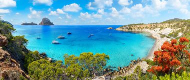 Landscape with Cala d Hort, Ibiza islands, Spain
