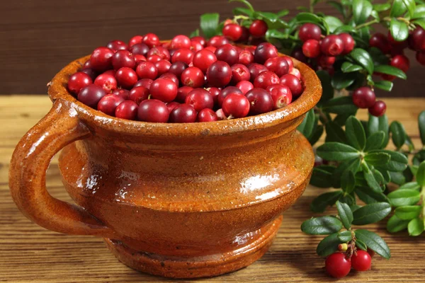 Cowberries — Stock Photo, Image