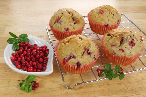 Homemade muffins — Stock Photo, Image
