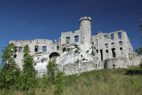 Ogrodzieniec fortifications, Poland. — Stock Photo, Image