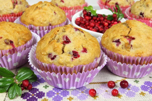 Homemade muffins — Stock Photo, Image