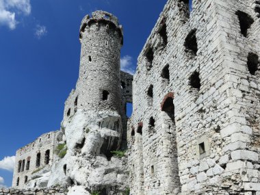 ogrodzieniec. Polonya.