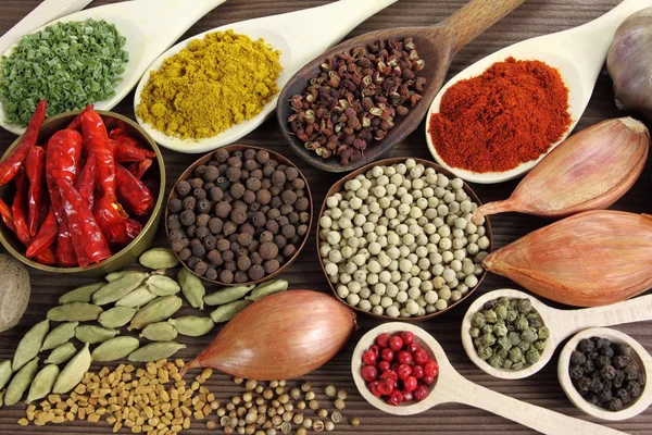 Spices — Stock Photo, Image