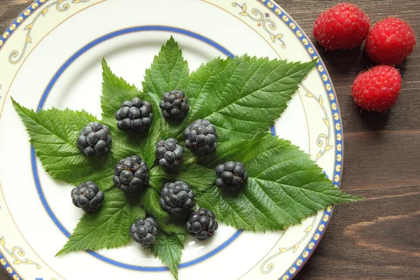 Beeren — Stockfoto