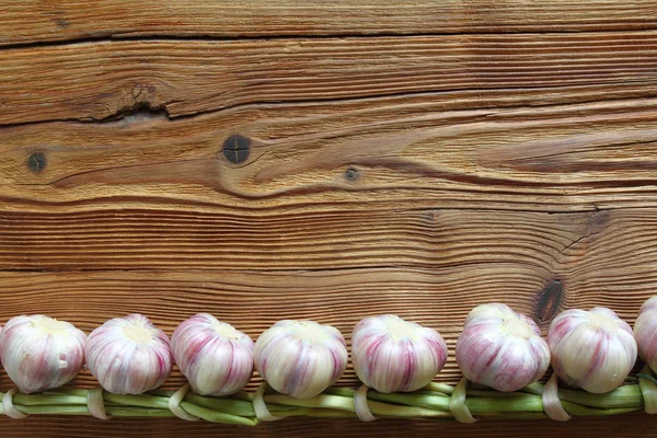 Garlic — Stock Photo, Image