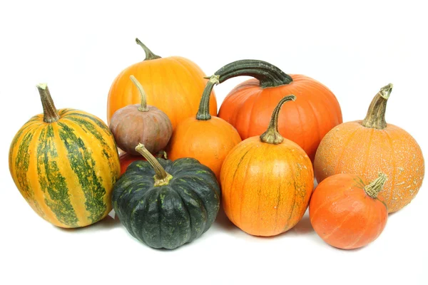 Pumpkins isolated — Stock Photo, Image