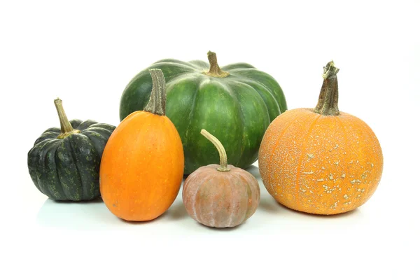 Pumpkins isolated — Stock Photo, Image