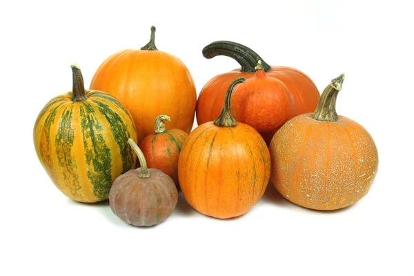 Pumpkins isolated — Stock Photo, Image