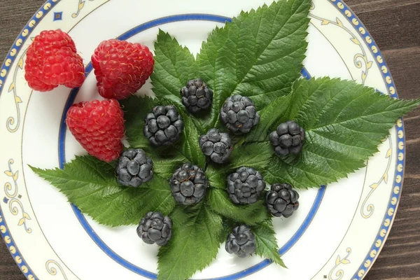 Berries — Stock Photo, Image