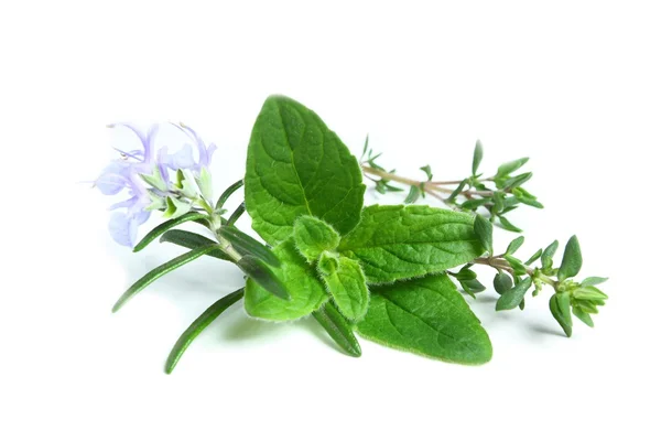 Herbs — Stock Photo, Image