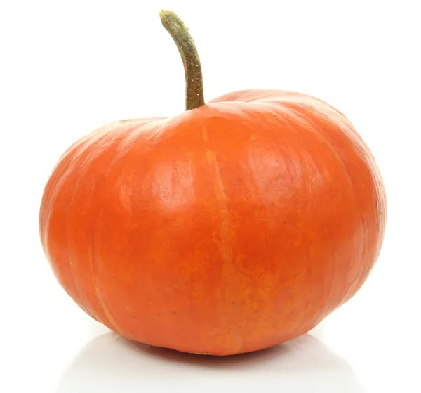 Pumpkin — Stock Photo, Image