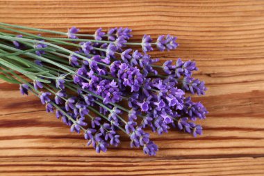 Bunch blooming lavender  on a wooden  background. Top view.