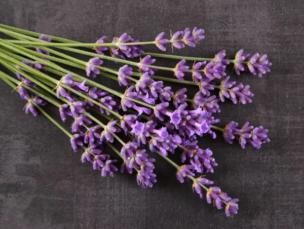 Bukett Lavendel Svart Bakgrund Ovanifrån — Stockfoto