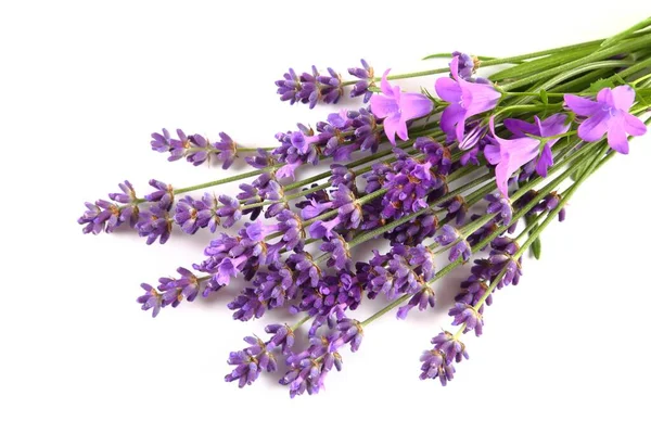 Bouquet Blooming Lavender White Background Top View — Foto Stock