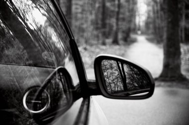 Siyah beyaz dikiz aynası. Ormanın manzarası ve dikiz aynasında yol kenarı.